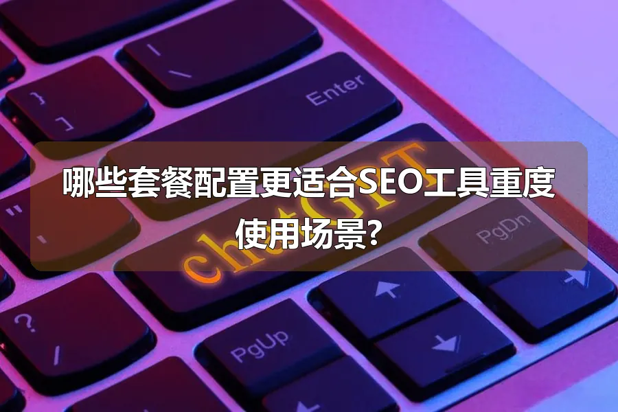 哪些套餐配置更适合SEO工具重度使用场景?